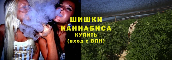 ПСИЛОЦИБИНОВЫЕ ГРИБЫ Покров