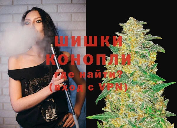 ПСИЛОЦИБИНОВЫЕ ГРИБЫ Покров