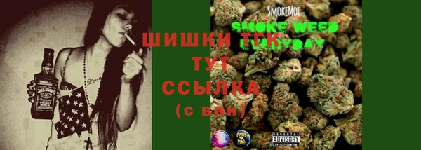 ПСИЛОЦИБИНОВЫЕ ГРИБЫ Покров